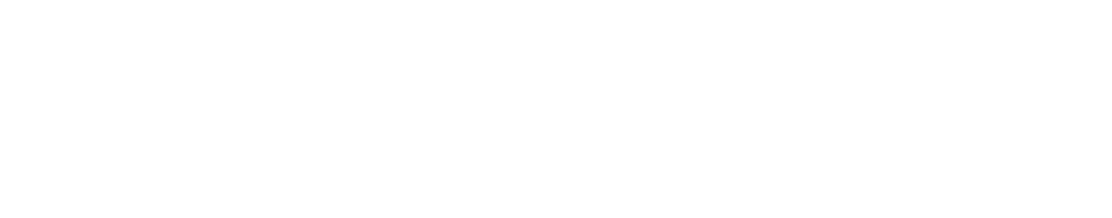 Kinsta Logo